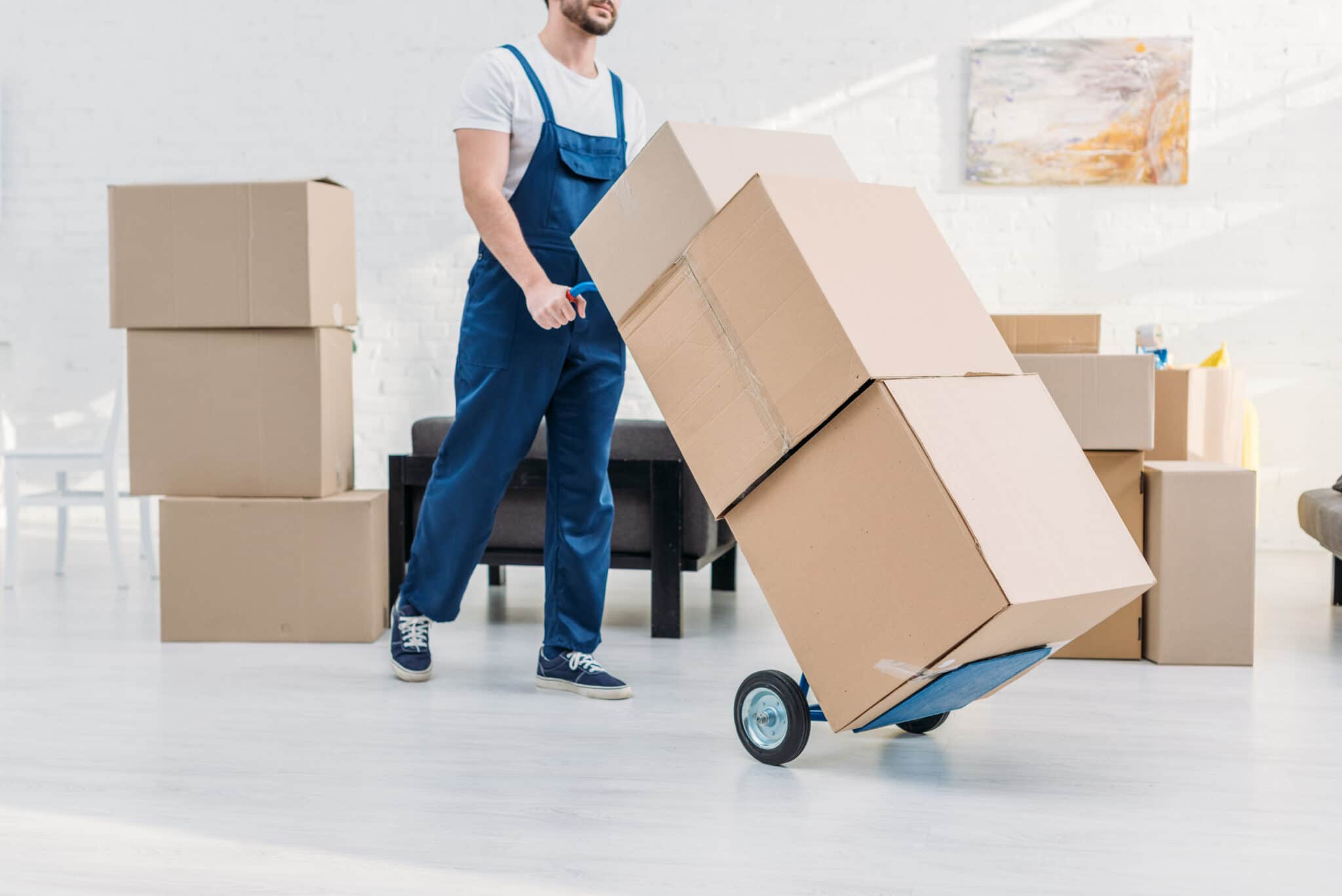Local Movers You Can Trust in San Diego
